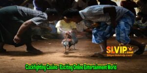 Cockfighting Casino - Exciting Online Entertainment World