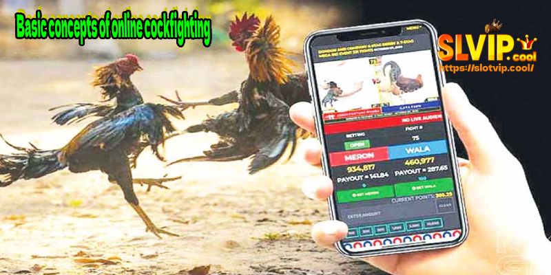 Basic concepts of online cockfighting