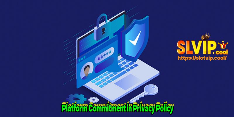 Platform Commitment in Privacy Policy