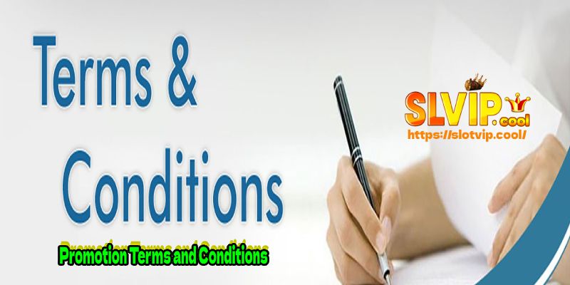 Promotion Terms and Conditions