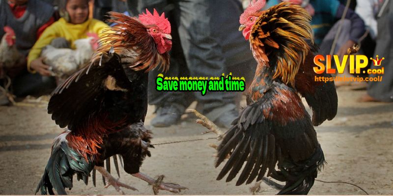 Save money and time