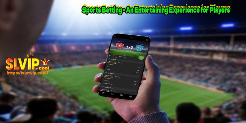 Sports Betting - An Entertaining Experience for Players