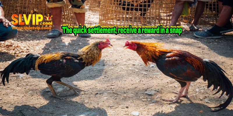 The quick settlement, receive a reward in a snap