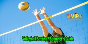 Volleyball Betting - Beginner's Guide