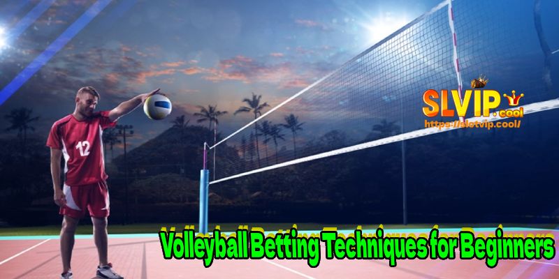 Volleyball Betting Techniques for Beginners