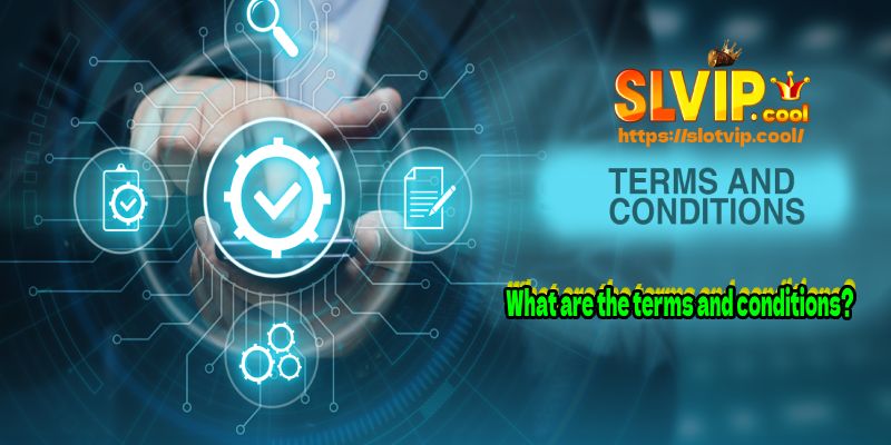 What are the terms and conditions?