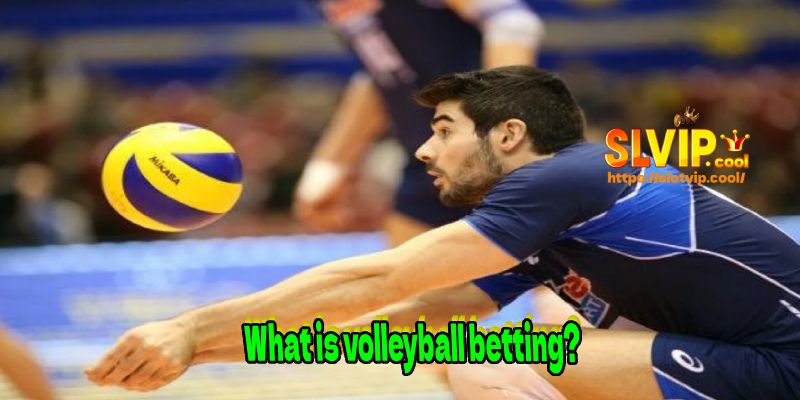 What is volleyball betting?