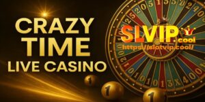 Crazy Time Live Casino and Why Players Love Its Nonstop Action